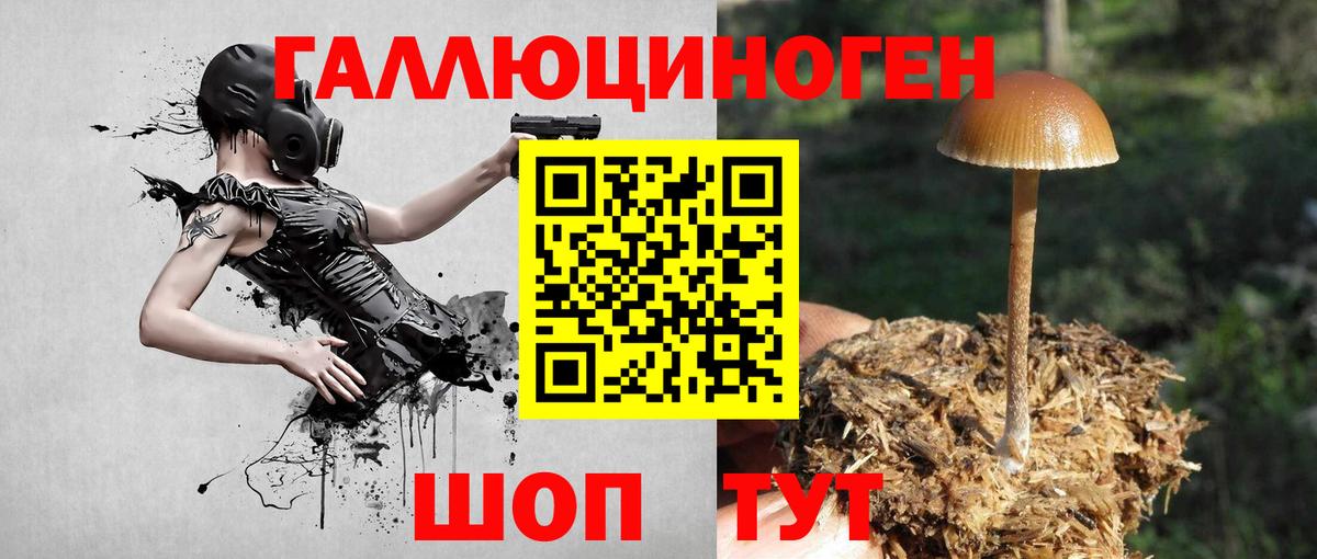 Псилоцибиновые грибы мицелий Пугачёв